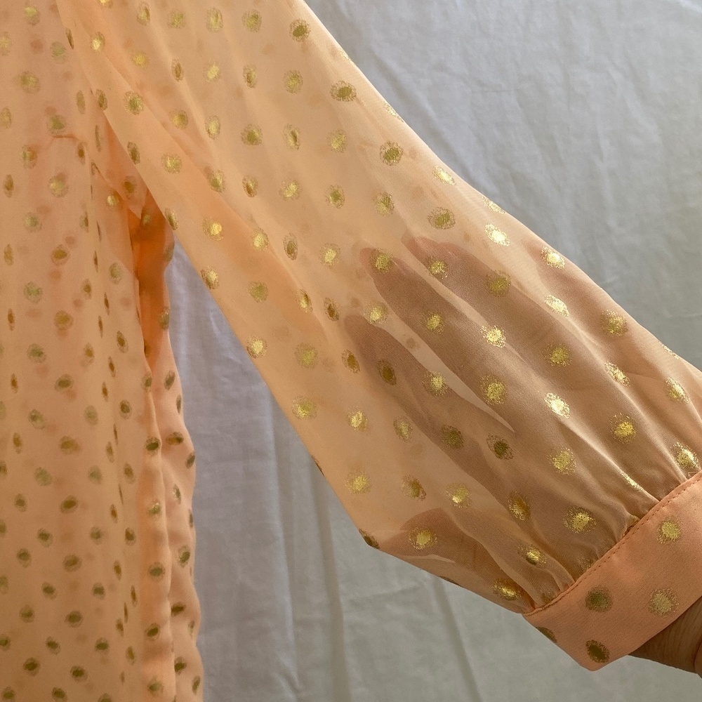 Sheer Blouse Size: Large - Picture 8 of 8